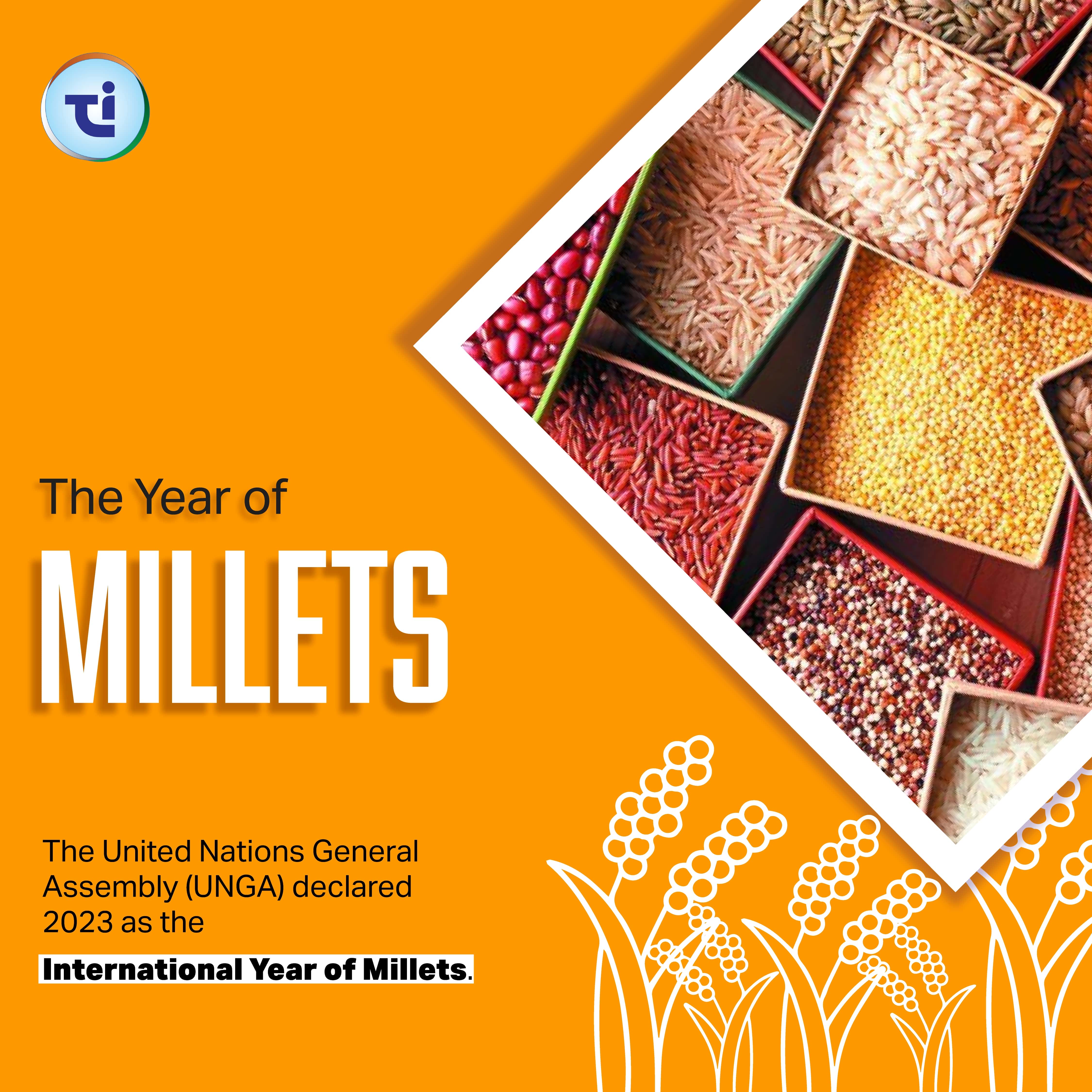 The Year of Millets: A New Era in Healthy Eating